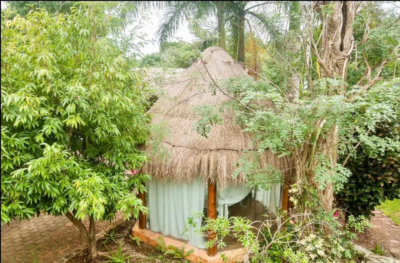 Oma Cancun - Holistic Healing Center Exterior photo